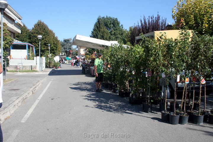 2ª Piante d'Autunno (10).JPG